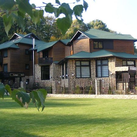 Hotel Hillden Lodge&Restaurant Drumu Carului Bagian luar foto