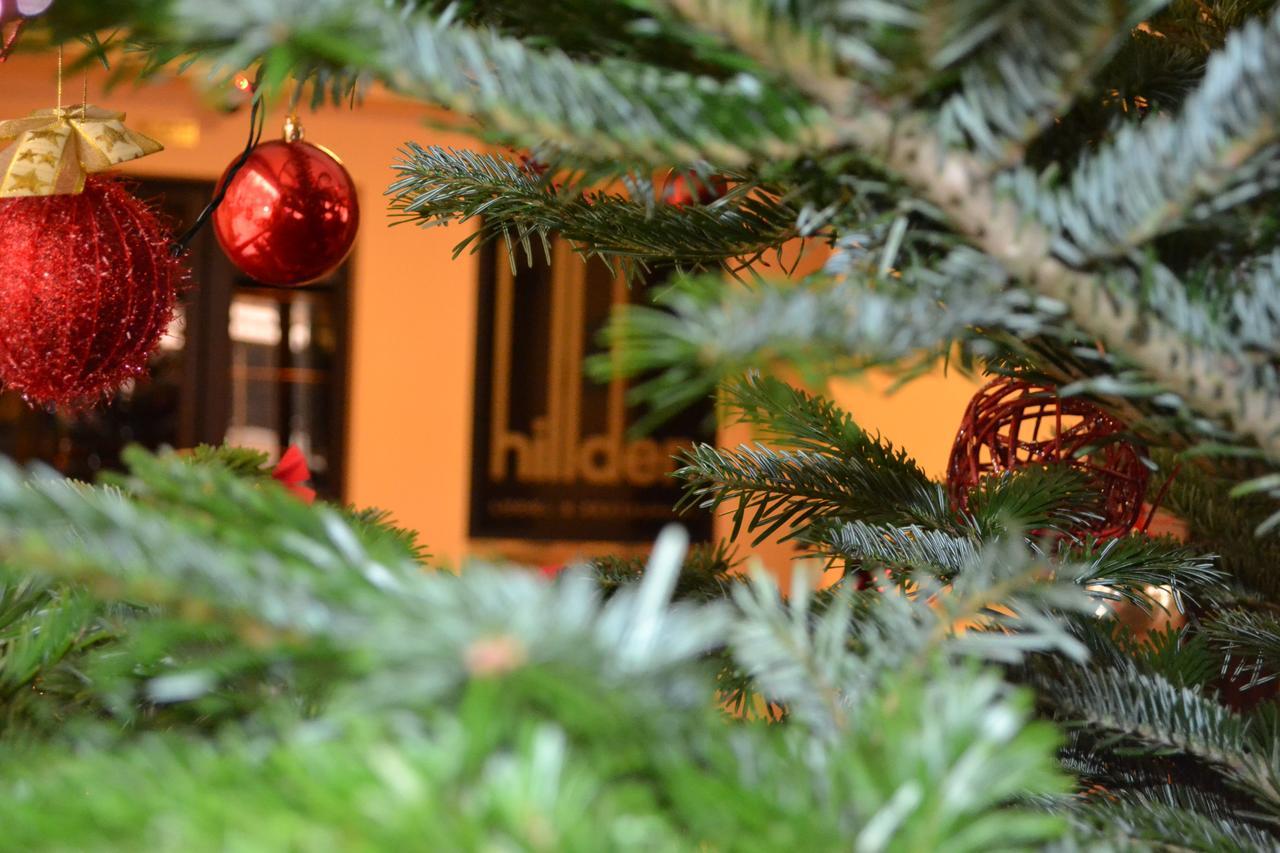 Hotel Hillden Lodge&Restaurant Drumu Carului Bagian luar foto