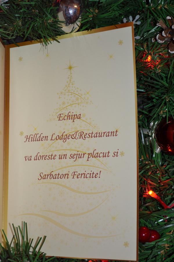 Hotel Hillden Lodge&Restaurant Drumu Carului Bagian luar foto